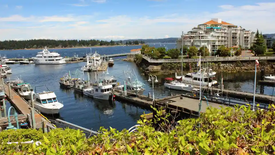 Canada Job Growth in British Columbia & Newfoundland