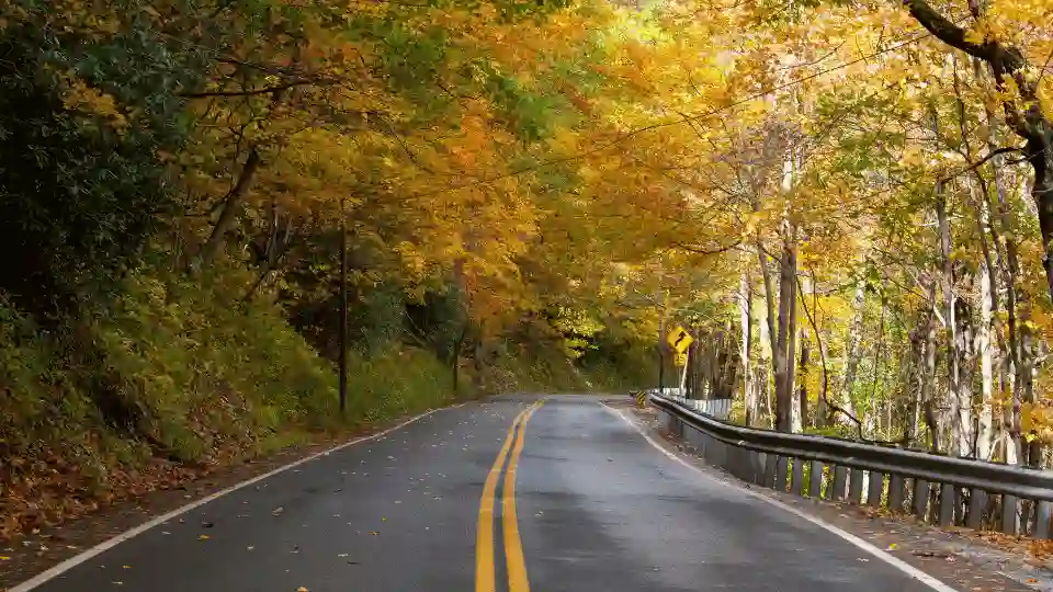 Canada Immigration During COVID-19: What You Can Do Now