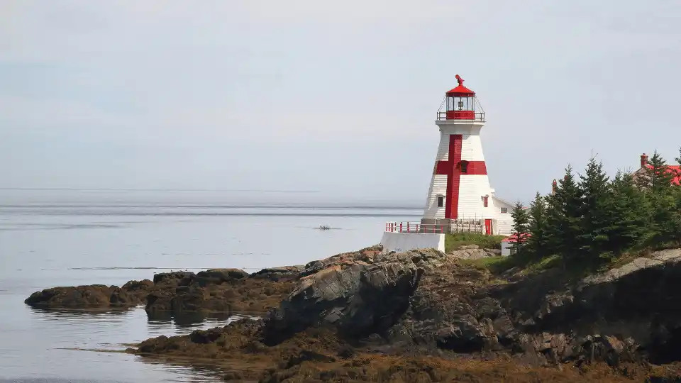 Key Goals of New Brunswick Provincial Nominee Program for Next 5 Years