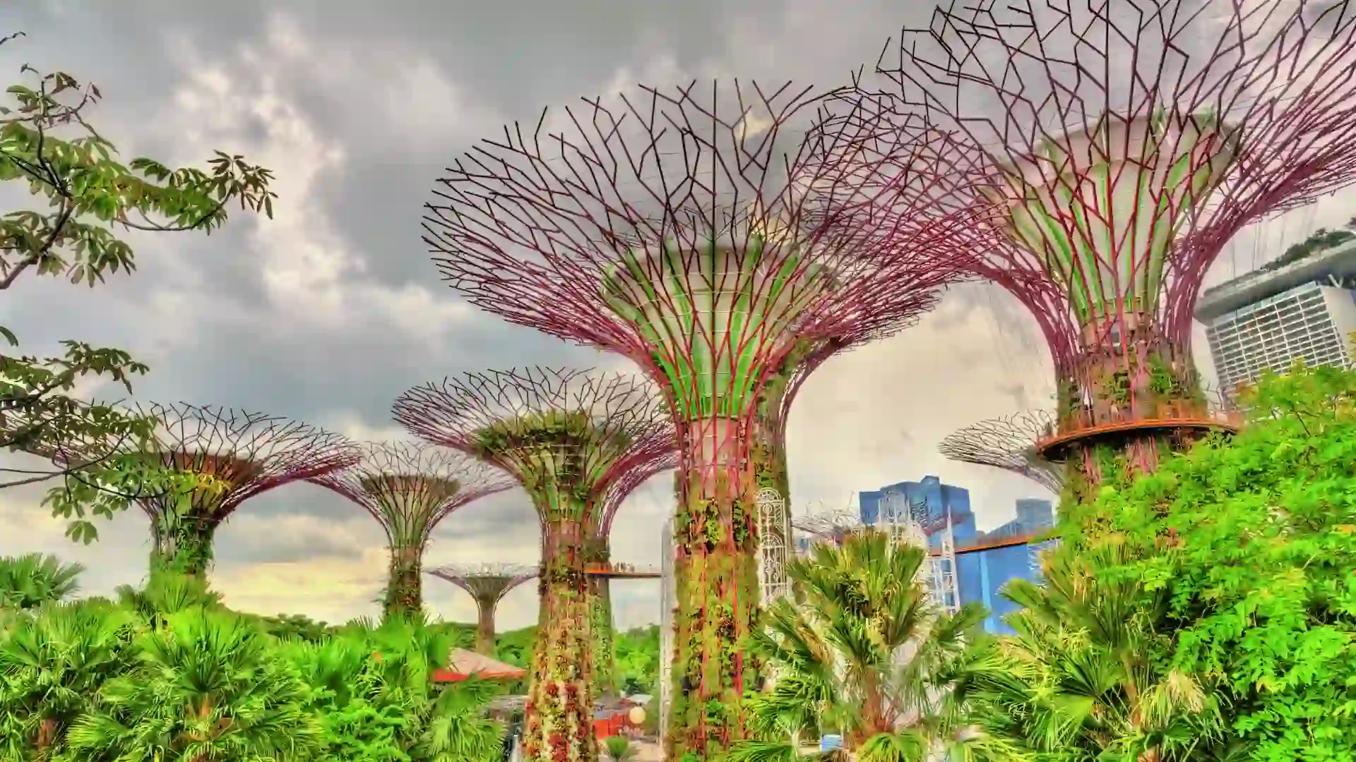 Singapore Global Investor Programme – RBI hero image