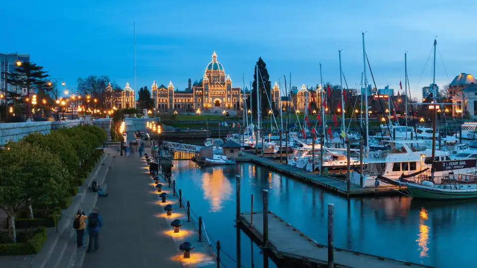 Choosing a CICC-licensed Canadian immigration consultant — 2022 guide