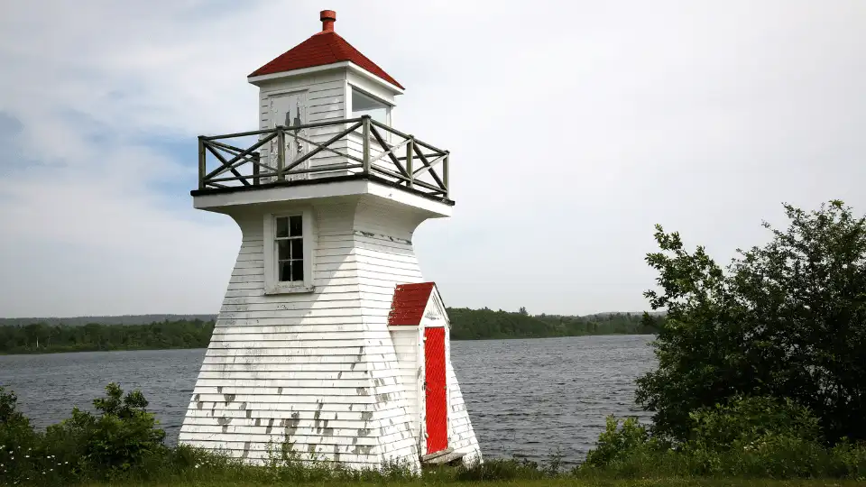 Canada Immigration in 2022: What Reopened, Key Routes & Smarter Options