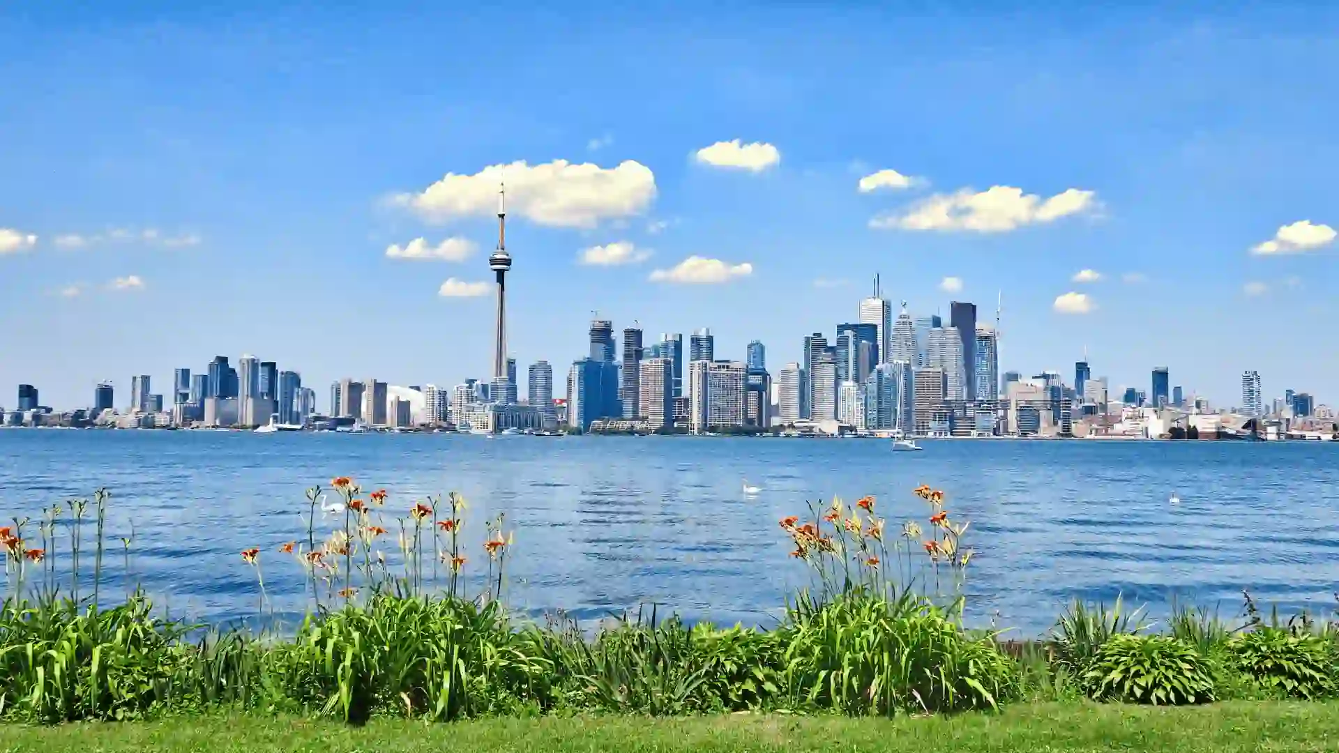 Nova Scotia Nominee Program (NSNP) – Entrepreneur Stream thumbnail